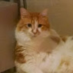 Meet your Posher, Joanna